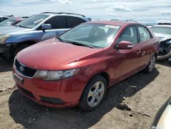 Salvage cars for sale at auction: 2010 KIA Forte EX