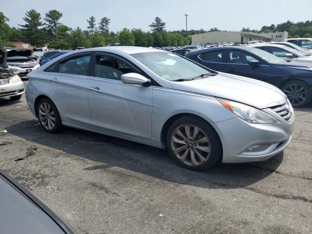 2011 Hyundai Sonata SE