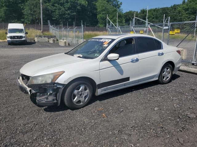 2009 Honda Accord EXL