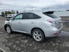 2010 Lexus RX 450