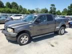 2004 Ford F150