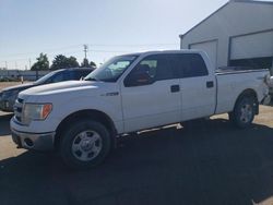 Vehiculos salvage en venta de Copart Nampa, ID: 2014 Ford F150 Supercrew