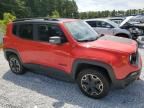 2017 Jeep Renegade Trailhawk