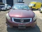 2008 Honda Accord EX