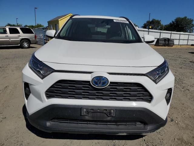 2019 Toyota Rav4 XLE