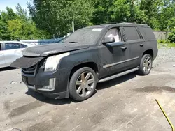 Salvage cars for sale at Portland, OR auction: 2015 Cadillac Escalade Luxury