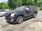 2015 Cadillac Escalade Luxury