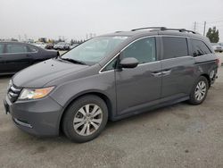 Salvage cars for sale from Copart Rancho Cucamonga, CA: 2016 Honda Odyssey EXL