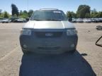 2006 Ford Escape XLT