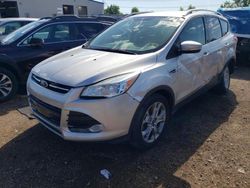 Salvage cars for sale at Elgin, IL auction: 2014 Ford Escape Titanium