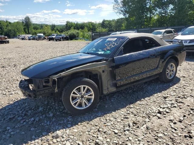 2005 Ford Mustang