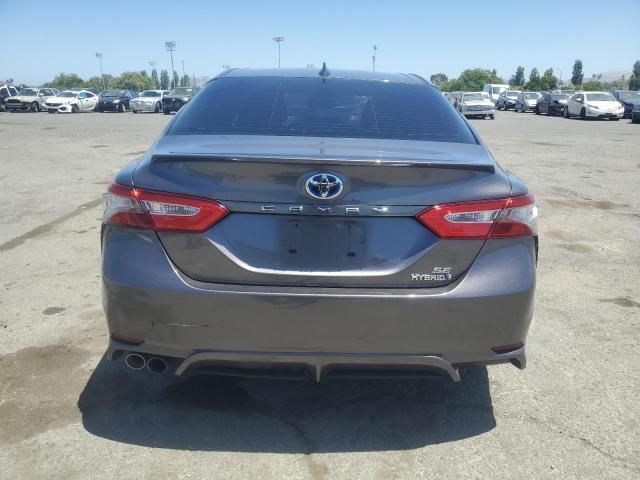 2019 Toyota Camry Hybrid