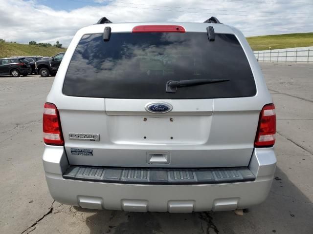 2010 Ford Escape XLT