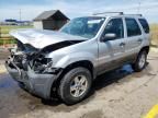 2006 Ford Escape XLS