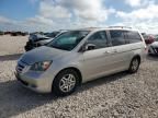 2005 Honda Odyssey EXL