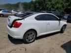 2006 Scion TC