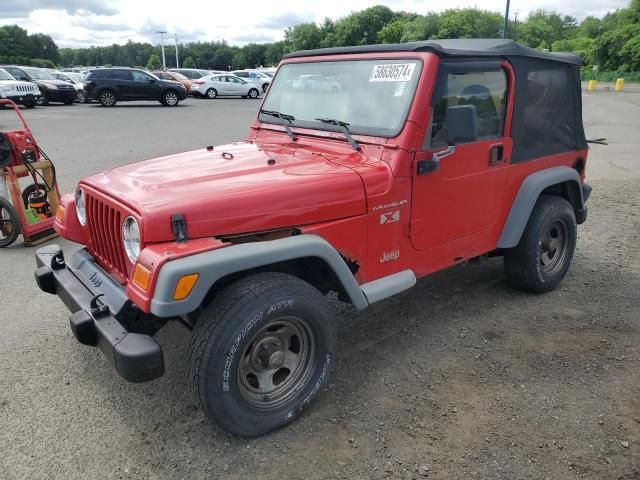 2002 Jeep Wrangler / TJ X