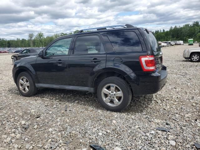 2010 Ford Escape Limited