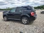 2010 Ford Escape Limited