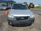 2006 Ford Escape XLT