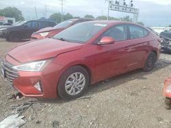 Salvage cars for sale at Columbus, OH auction: 2019 Hyundai Elantra SE