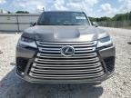 2024 Lexus LX 600 Base