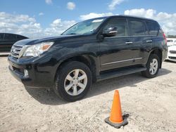 Carros dañados por inundaciones a la venta en subasta: 2013 Lexus GX 460