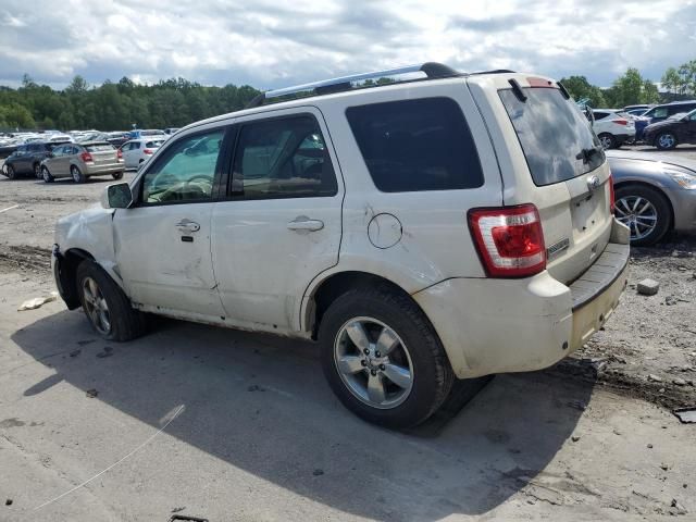 2010 Ford Escape Limited