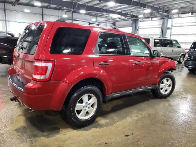 2010 Ford Escape XLT