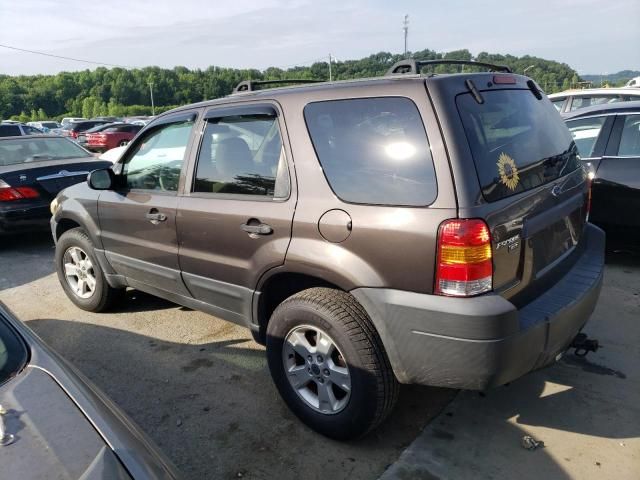 2006 Ford Escape XLT