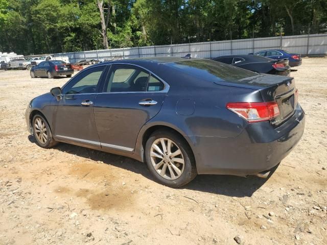 2010 Lexus ES 350