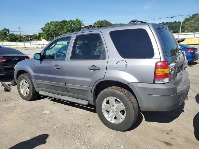 2007 Ford Escape XLT