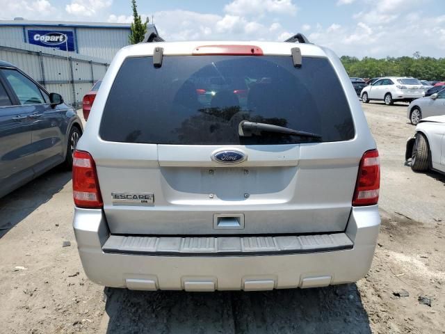 2010 Ford Escape XLT