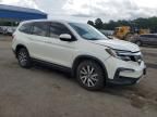 2019 Honda Pilot EXL