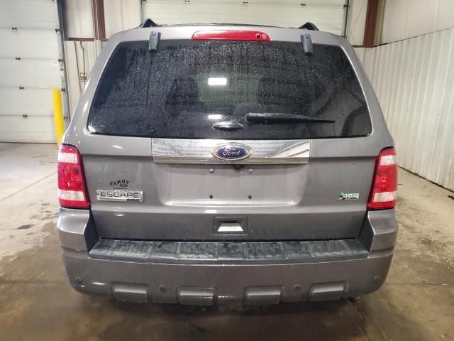 2011 Ford Escape Limited