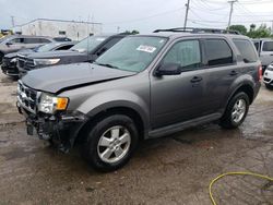 Salvage cars for sale from Copart Chicago Heights, IL: 2010 Ford Escape XLT