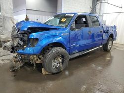 Ford salvage cars for sale: 2011 Ford F150 Supercrew