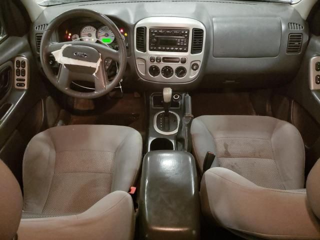 2007 Ford Escape XLT