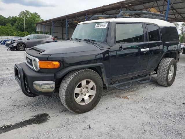 2007 Toyota FJ Cruiser