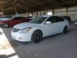 Salvage cars for sale at Phoenix, AZ auction: 2012 Nissan Altima Base