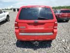 2009 Ford Escape XLS