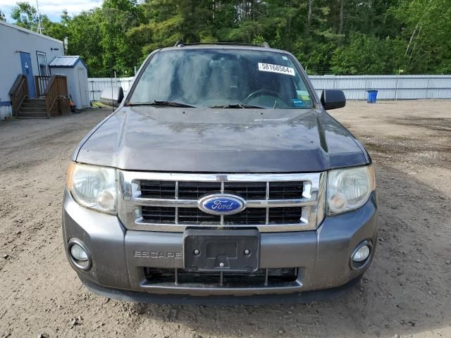 2012 Ford Escape XLT