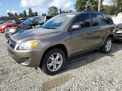 Salvage cars for sale from Copart Graham, WA: 2012 Toyota Rav4