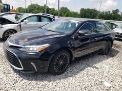 Salvage cars for sale from Copart Columbus, OH: 2016 Toyota Avalon XLE
