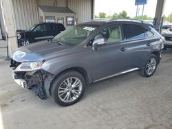 Salvage cars for sale at Fort Wayne, IN auction: 2014 Lexus RX 350 Base