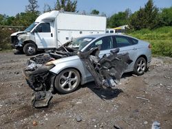 Salvage cars for sale at Pennsburg, PA auction: 2013 Ford Fusion SE