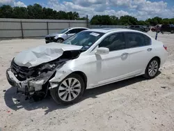 Honda salvage cars for sale: 2013 Honda Accord EX