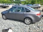 2010 Ford Focus SEL