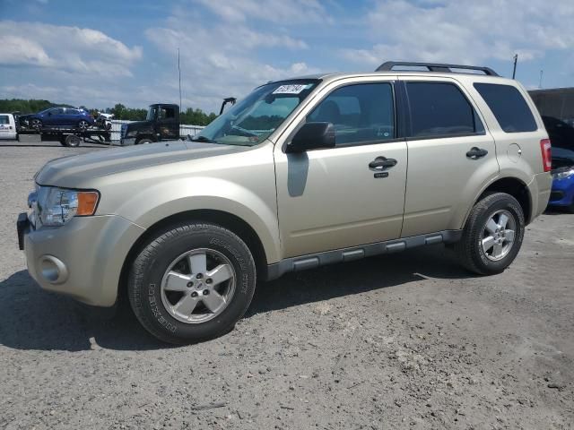 2011 Ford Escape XLT