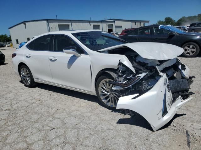 2019 Lexus ES 300H